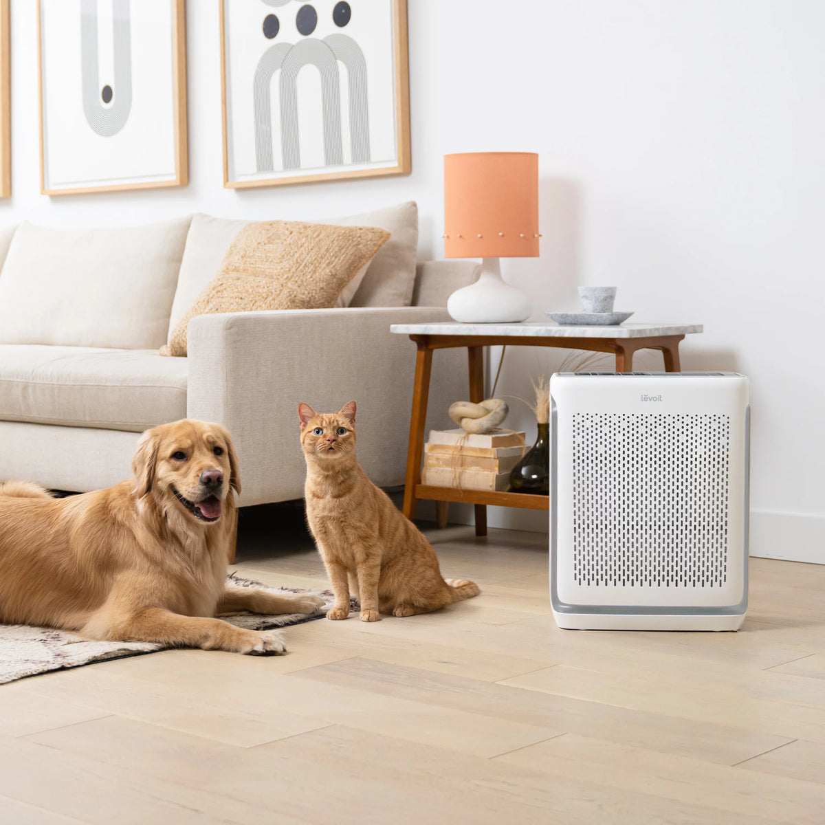 Air Purifier 1110 sq ft C910731