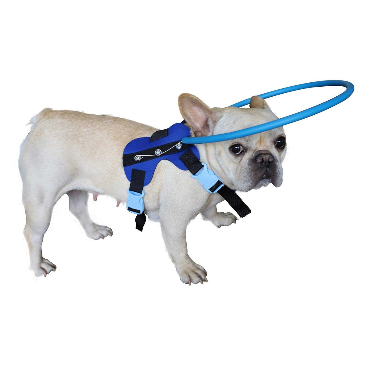 Blind Dog Harness Guiding Device C697597