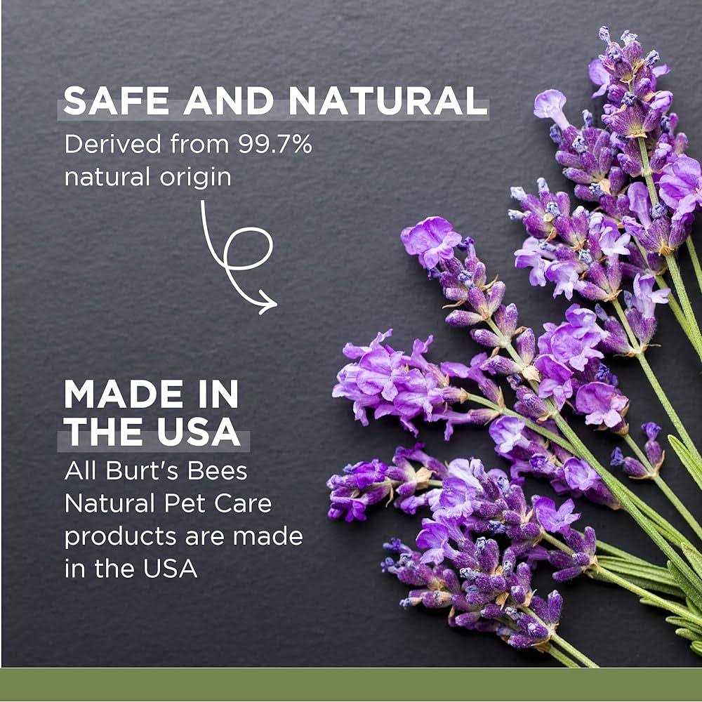 Calming Hemp Dog Spray H584649