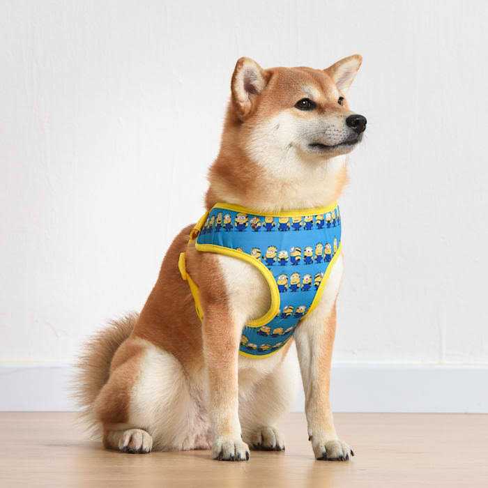 Blue Mesh No-Pull Dog Harness E36344