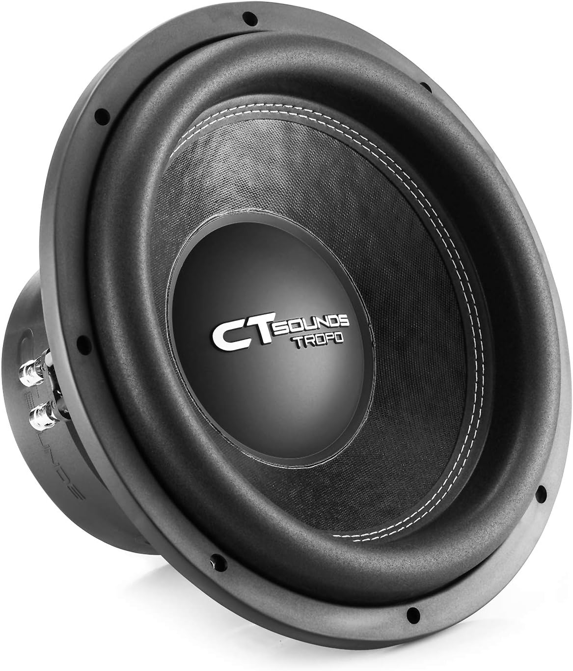 12 Inch 1300 Watts Max Dual 2 Ohm Car Subwoofer E215