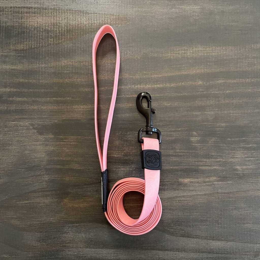 Waterproof Leash Y312399