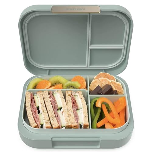 44oz BPA-Free Bento Lunch Box V6117