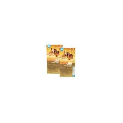 Topical Solution for Dogs 9.1-20 lbs 6 treatments S734761