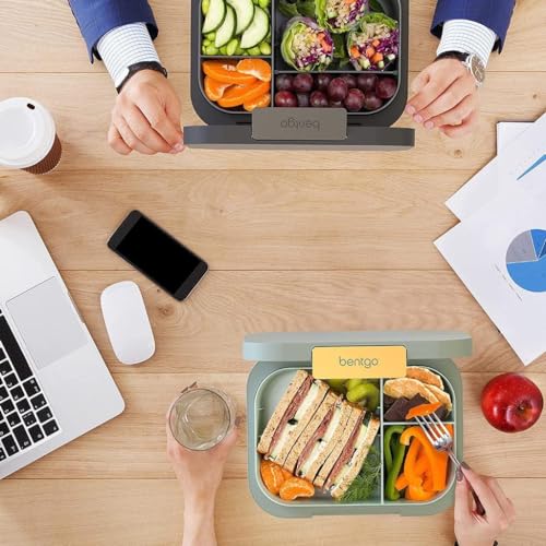 44oz BPA-Free Bento Lunch Box V6117