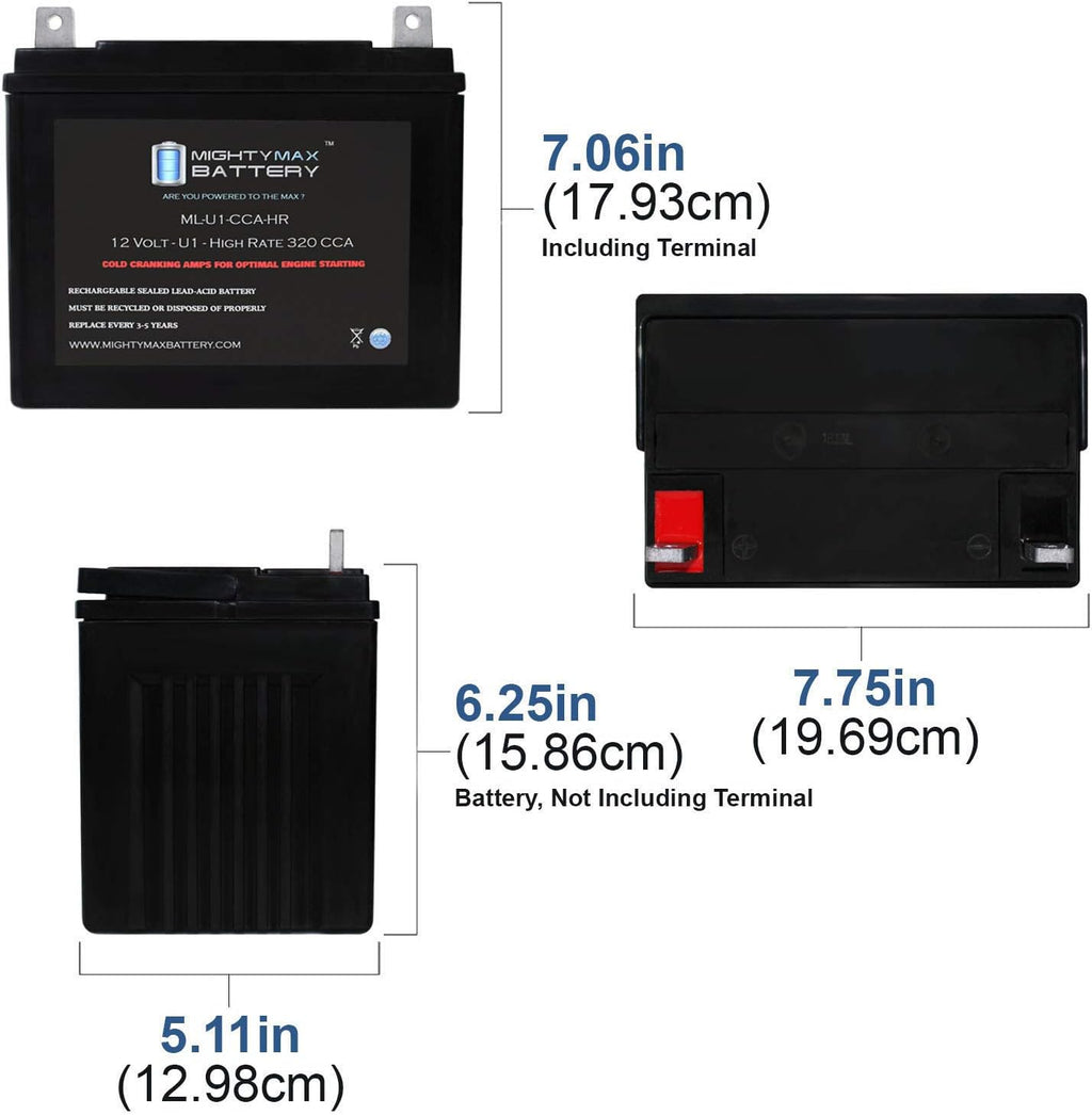 12V 320CCA Battery E29286