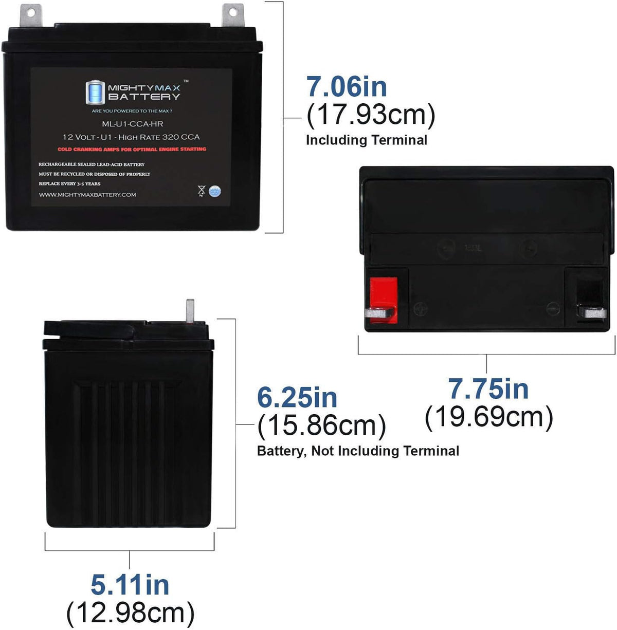 12V 320CCA Battery E29286