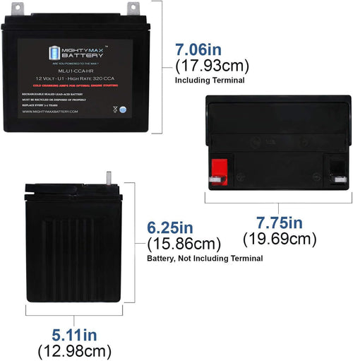 12V 320CCA Battery E29286