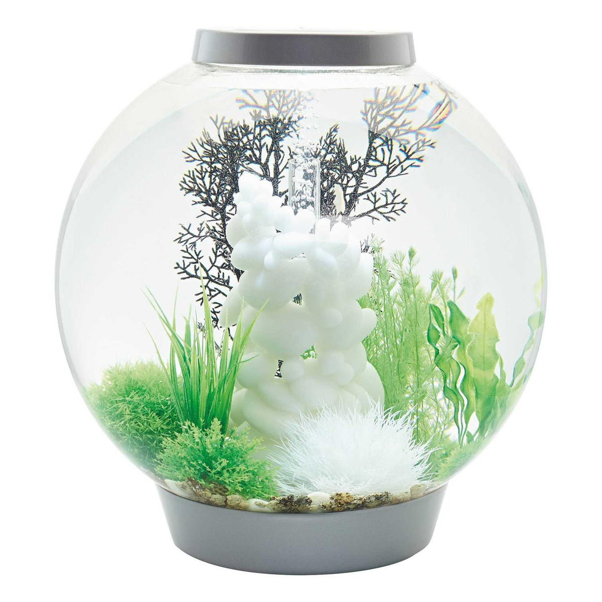 Classic 60 Aquarium with LED G84015