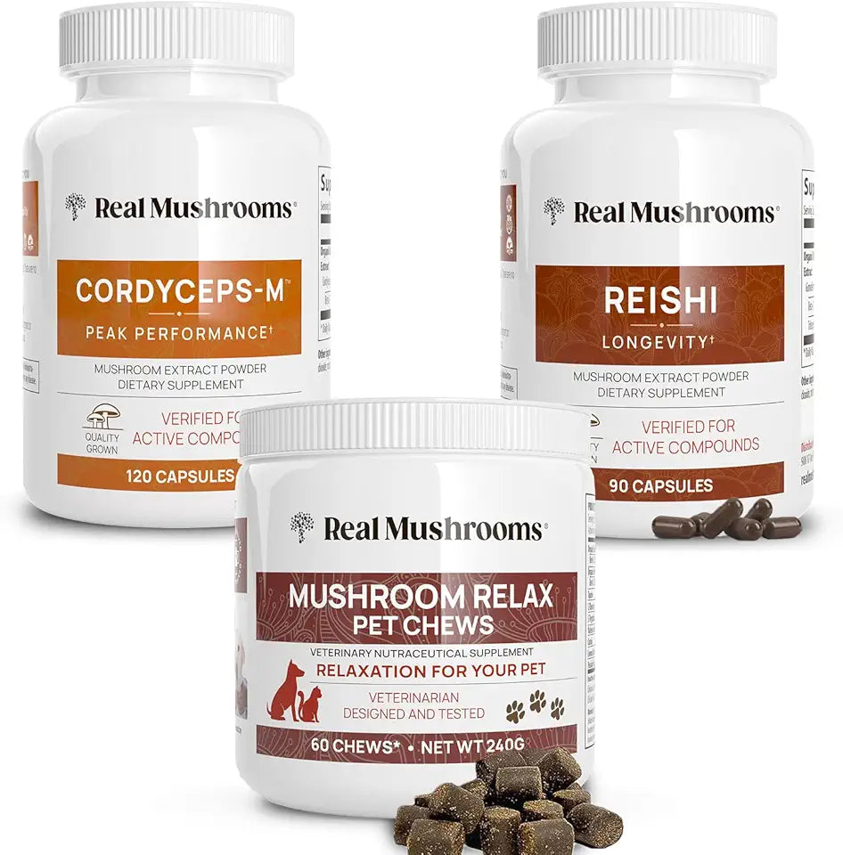 Reishi & Cordyceps Mushroom Extract Supplements S859421