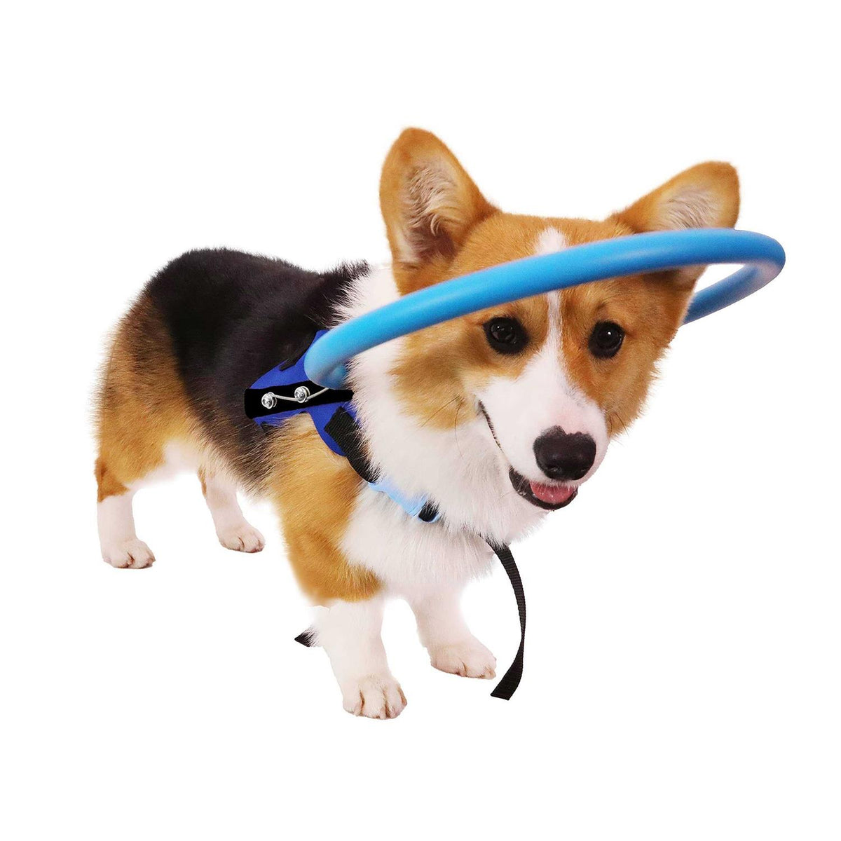 Blind Dog Harness Guiding Device C697597