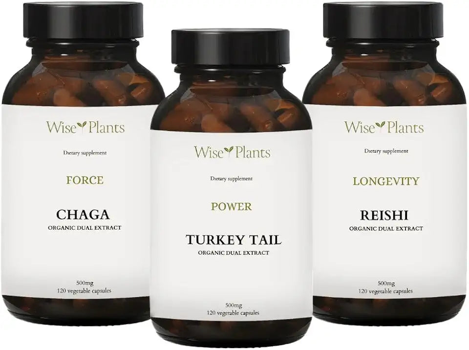 Turkey Tail, Reishi and Chaga Bundle B228