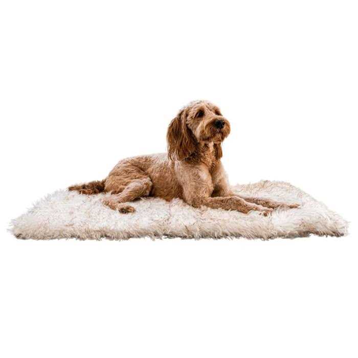 White Portable Orthopedic Dog Bed V75491