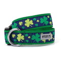 Dog Collar F433