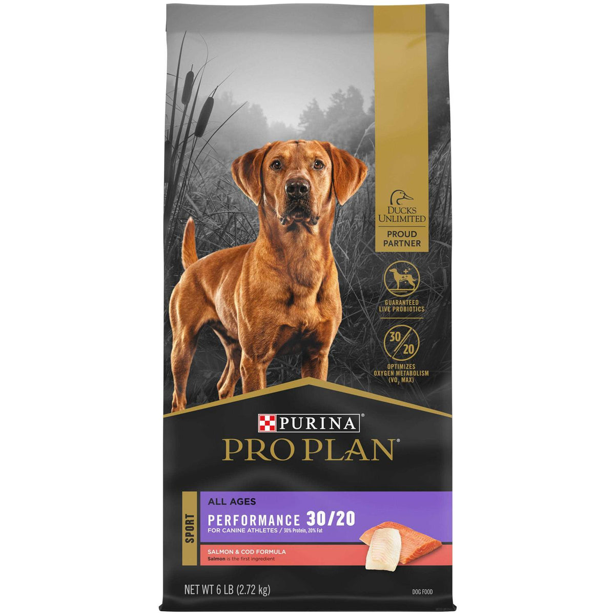 Dry Dog Food A42777