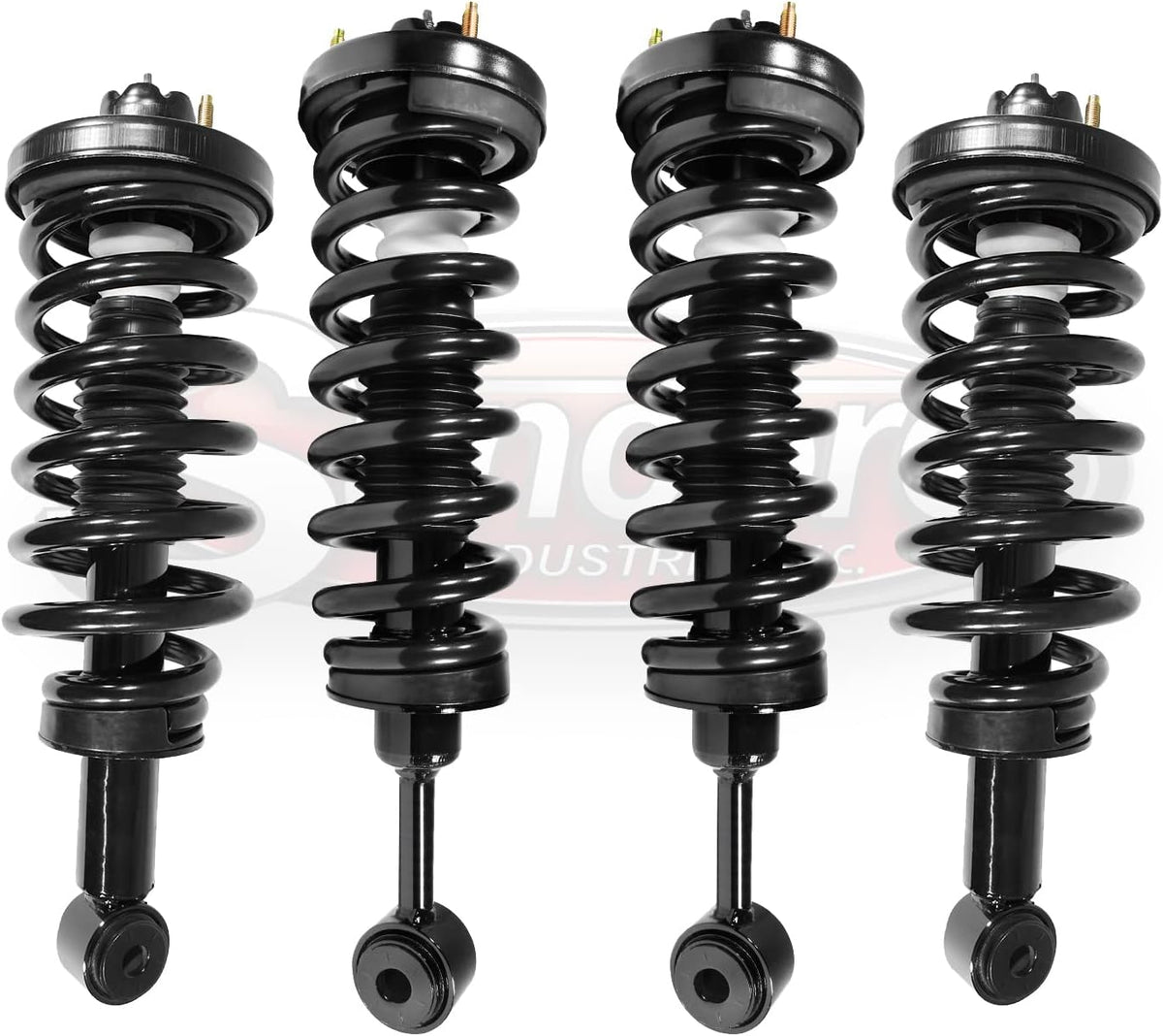 Air Ride Suspension Complete Struts Conversion Kit H80911