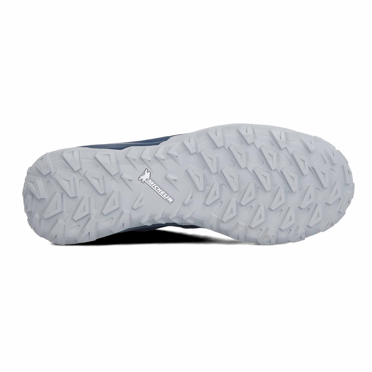 Wing Teal Low GTX Hiking Shoes B47882