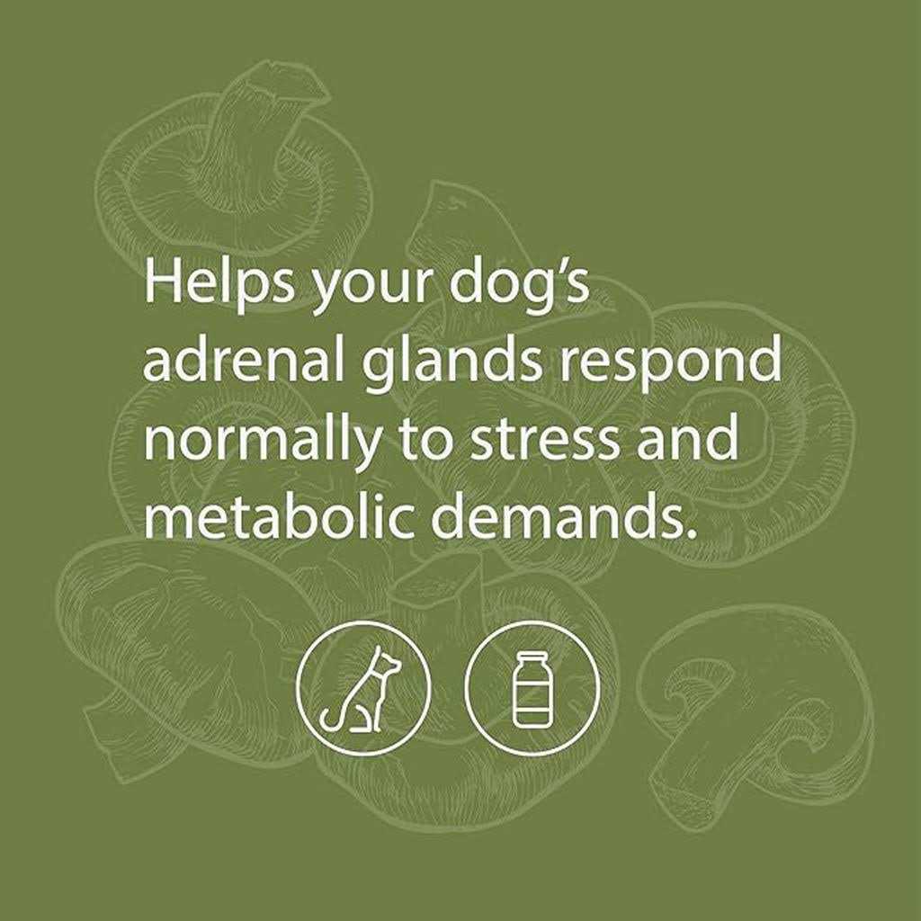 Canine Adrenal Support Pet Supplies L7143