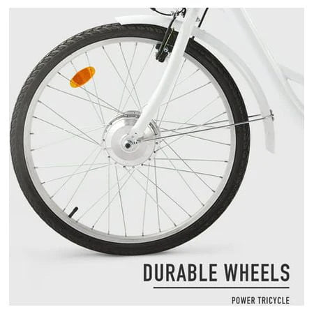 24inch 3 Wheel Electric Tricycle with 250w Motor W799