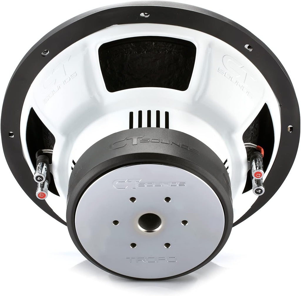 12 Inch 1300 Watts Max Dual 2 Ohm Car Subwoofer E215