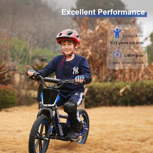 Lightweight 170W Electric Dirt Bike for Kids, Adjustable Seat, 12Inch Off Road Tires, Red P1328