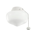 Satin Natural White Light Kit R489516