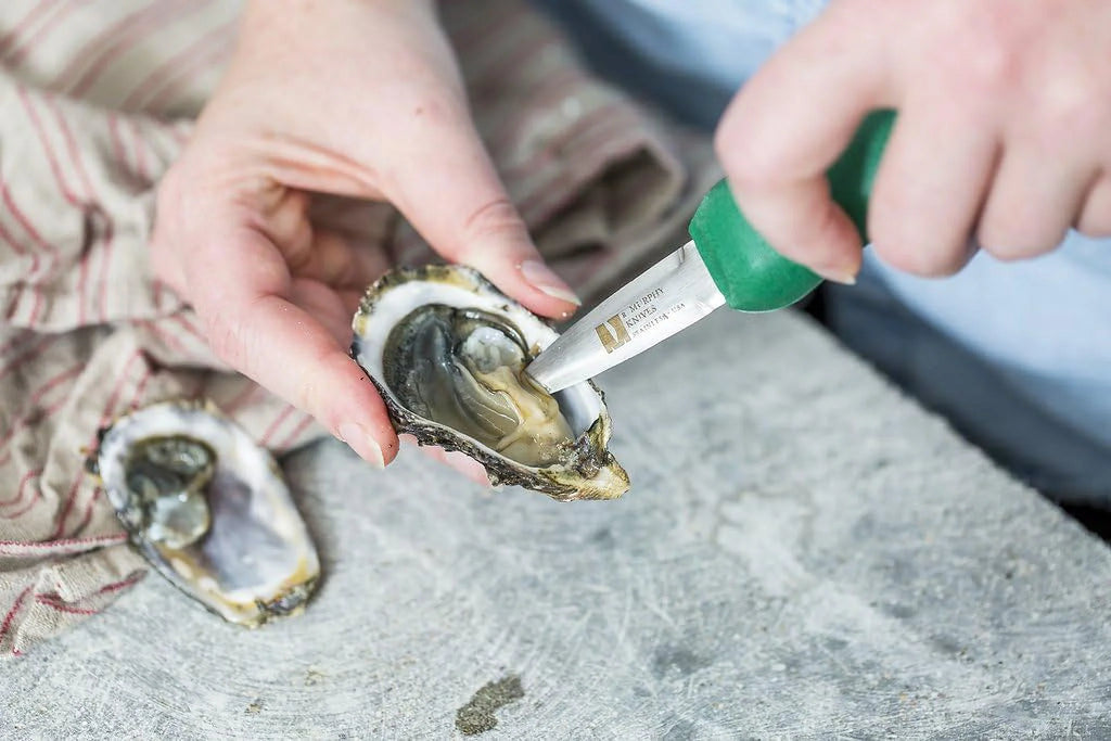 Oyster Knife Shellfish Seafood Clam Shucker Tool H8462