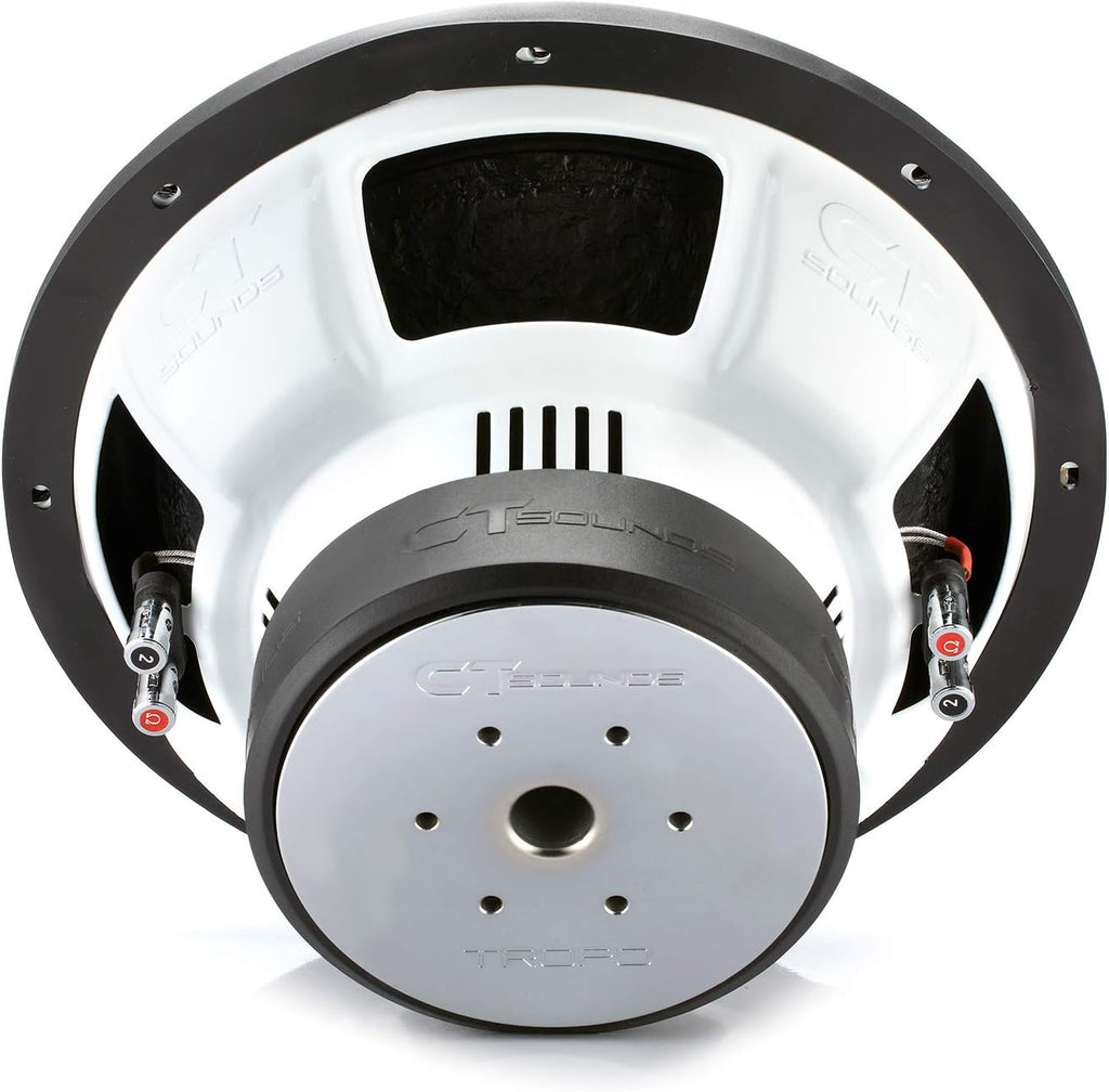 12 Inch 1300 Watts Max Dual 2 Ohm Car Subwoofer E215