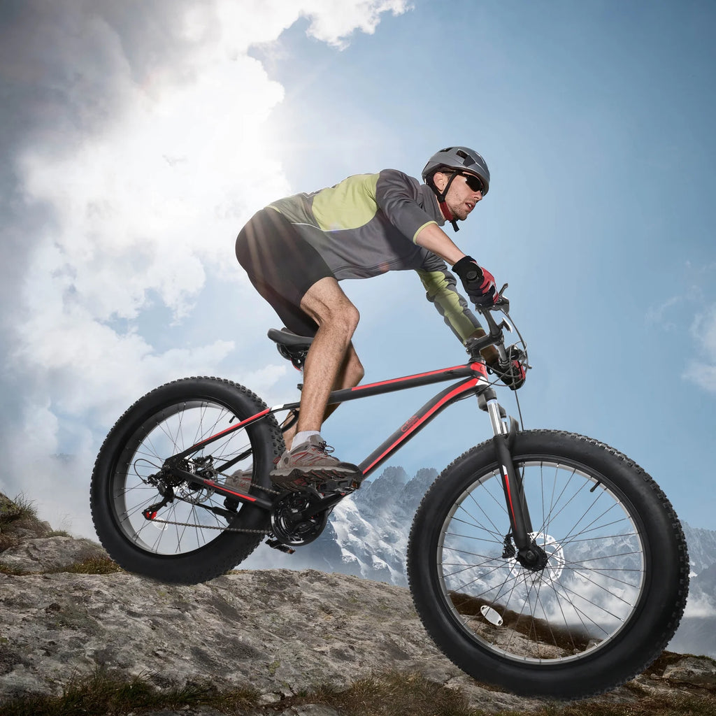 26 Fat Tire Mountain Bike 21 Speed High Carbon Steel Frame R561717