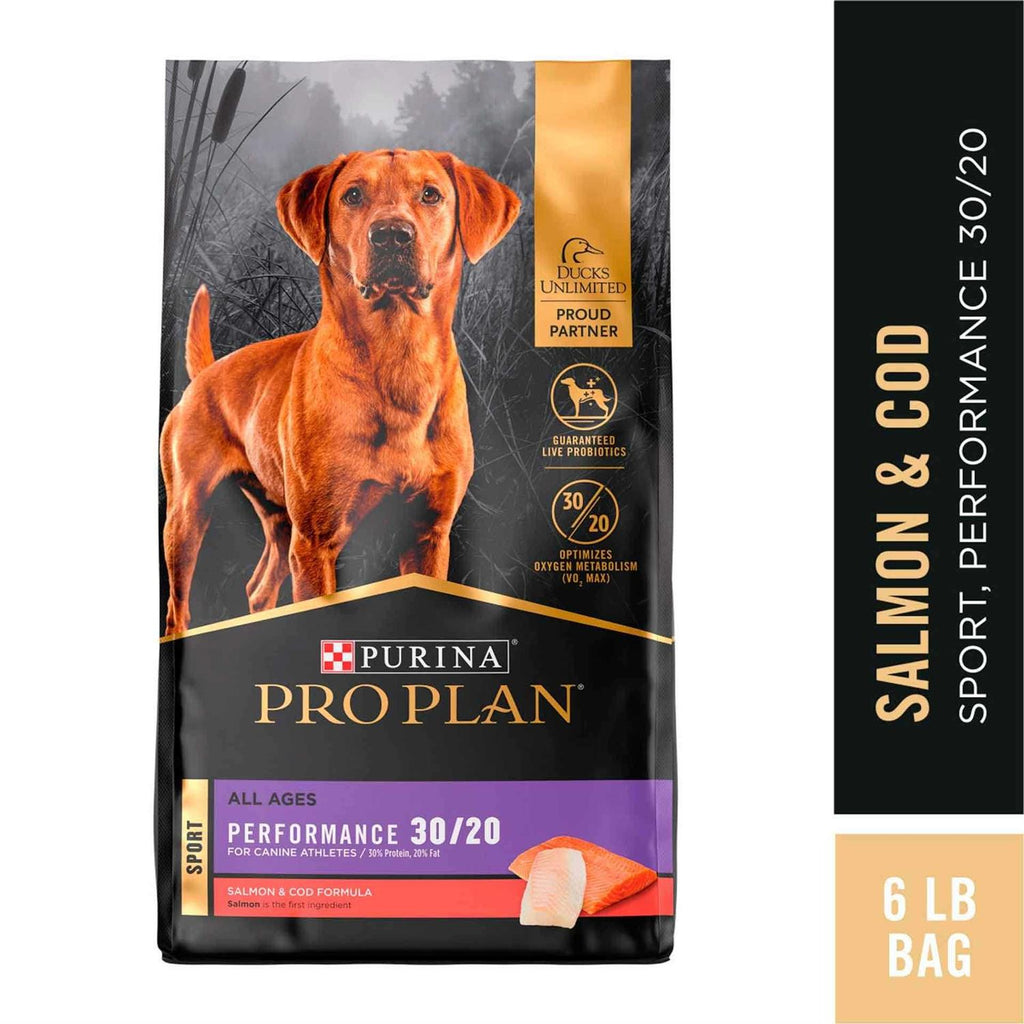 Dry Dog Food A42777