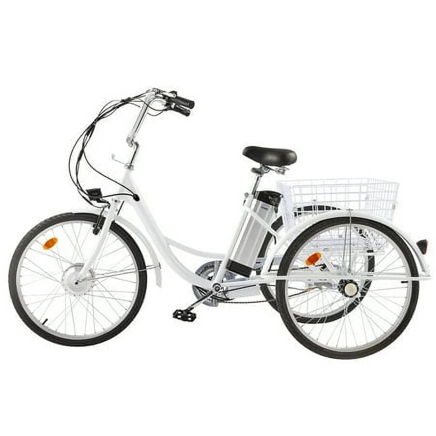 24inch 3 Wheel Electric Tricycle with 250w Motor W799
