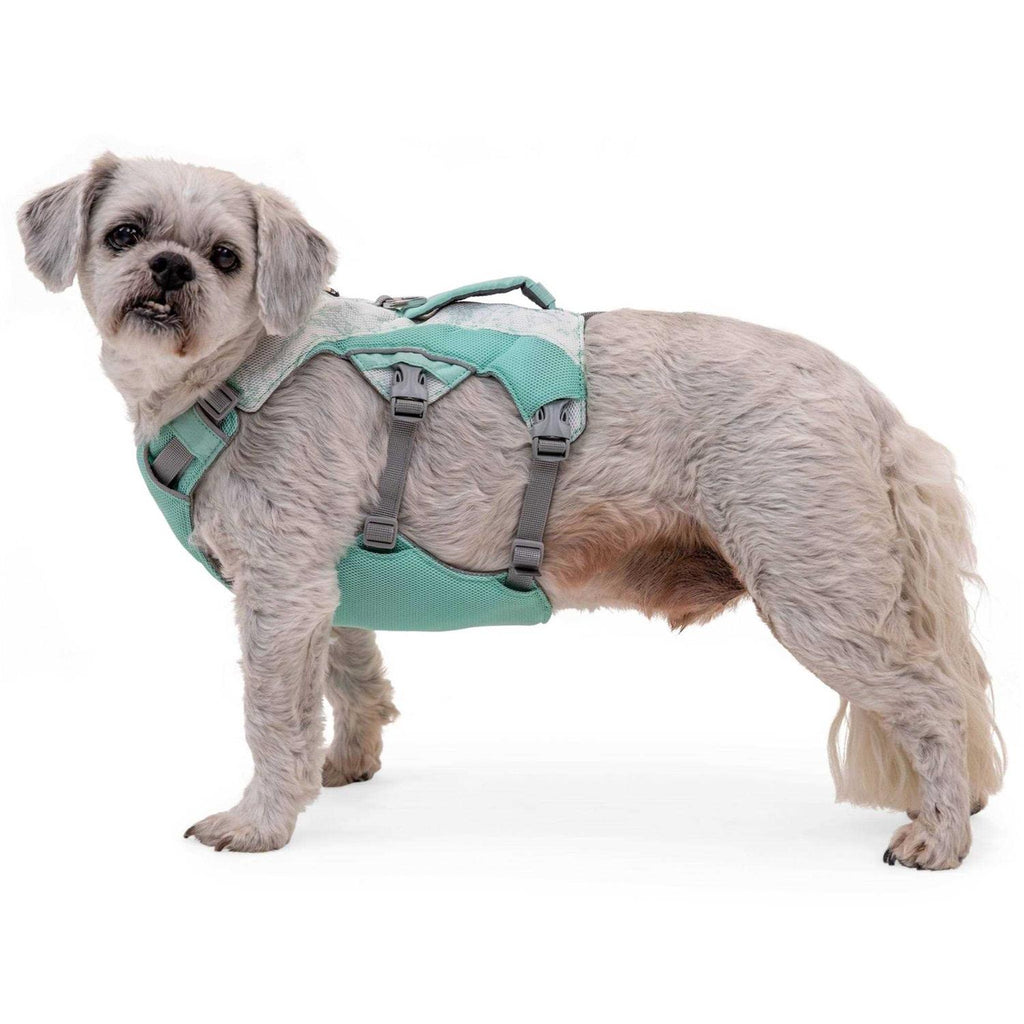 Dog Harness H626020