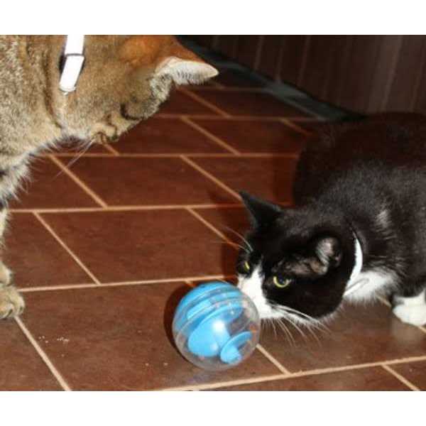 Treat Ball H822481