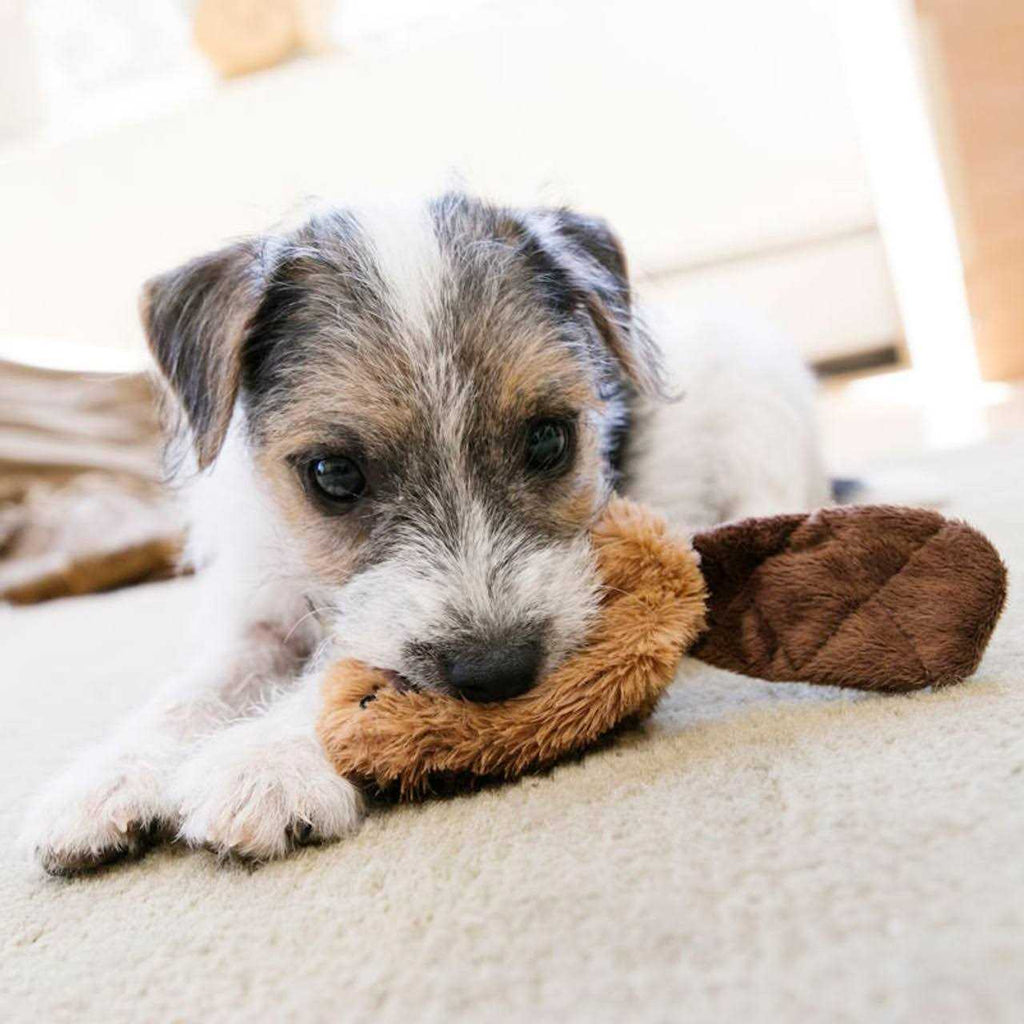 Dog Toy T740621