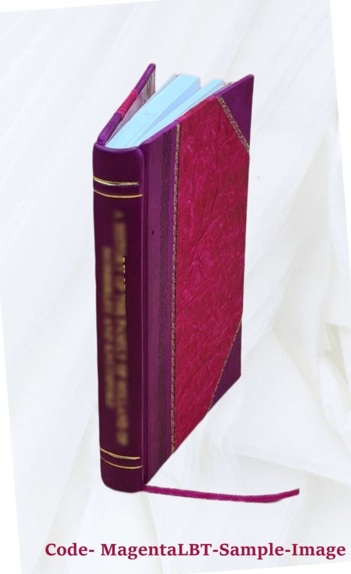 Electrical Society Cornell University 1895 Leather Bound I793598
