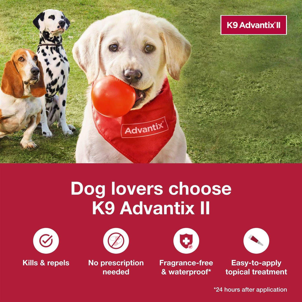 Extra Large Dogs Pet Supplies R336