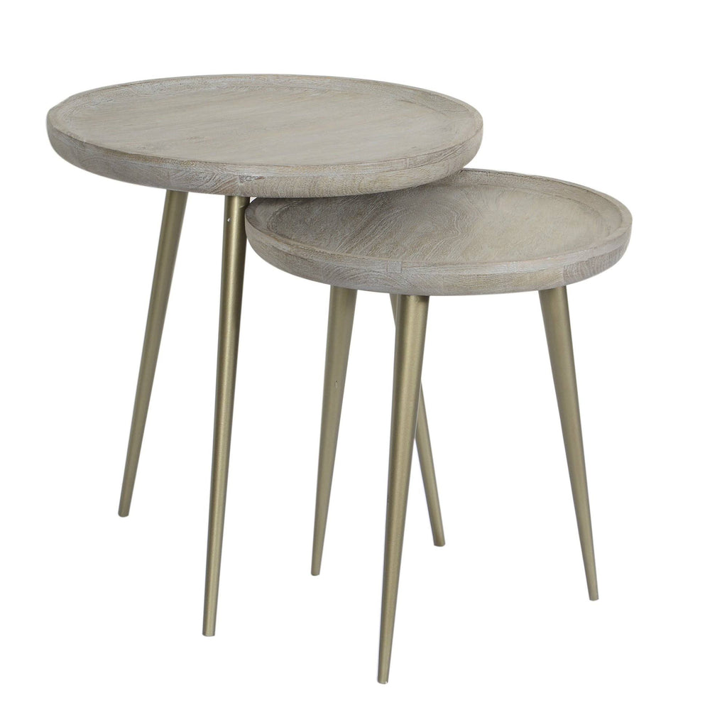 Mango Wood Tray Top Accent Tables with Antique Brass Metal Legs - Set of 2 Y24943