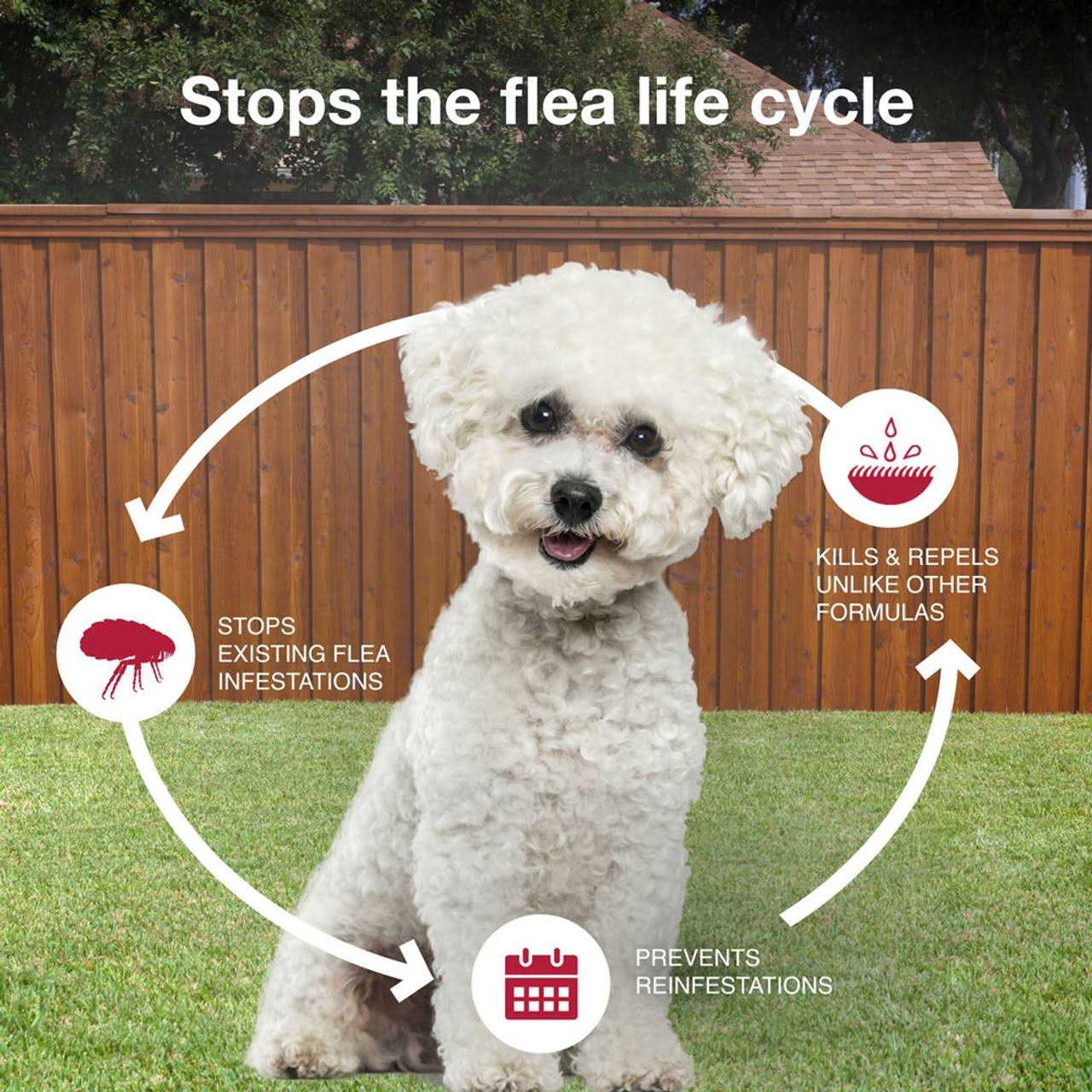 Extra Large Dogs Pet Supplies R336
