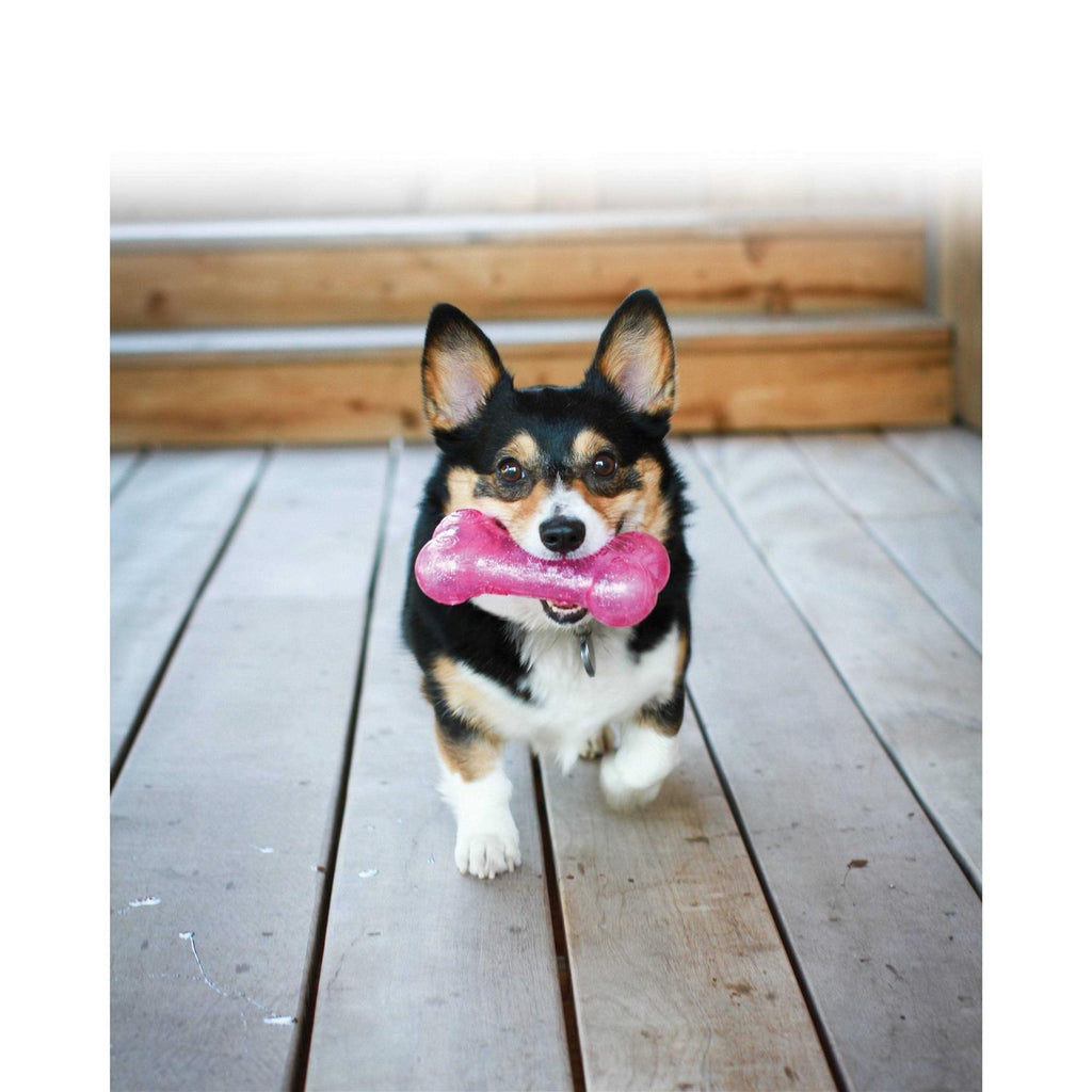 Bone Dog K258