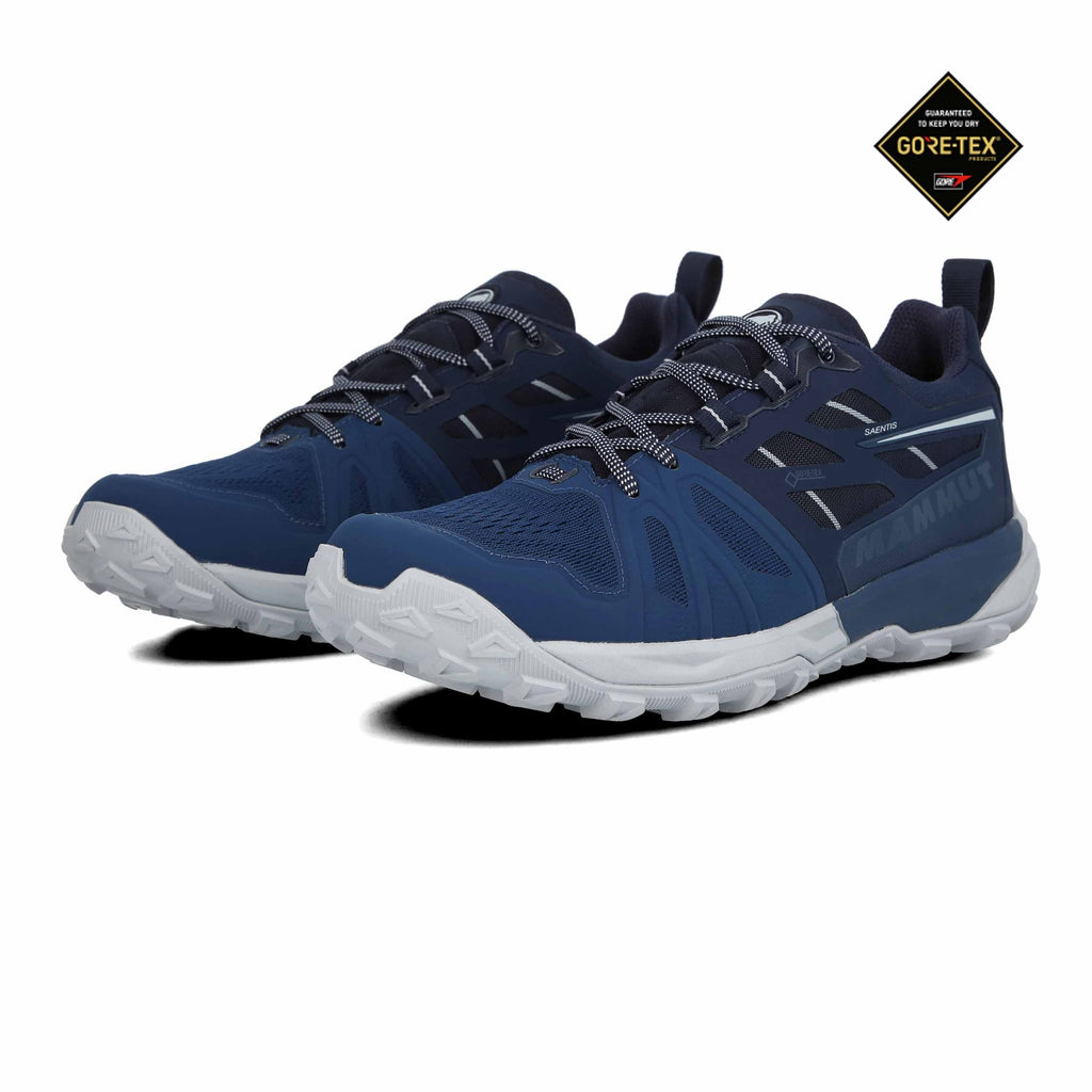 Wing Teal Low GTX Hiking Shoes B47882