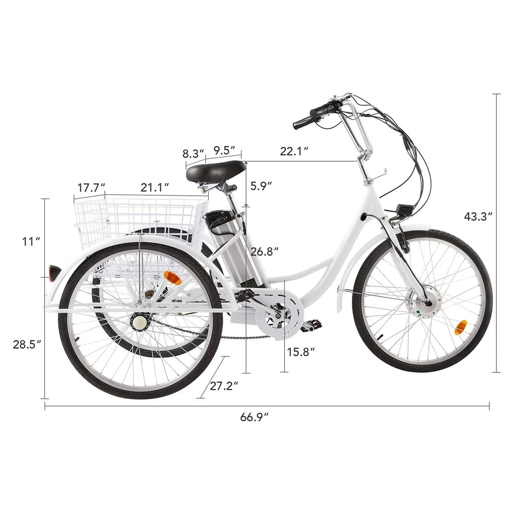 24inch 3 Wheel Electric Tricycle with 250w Motor W799