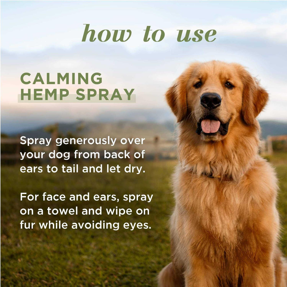 Calming Hemp Dog Spray H584649