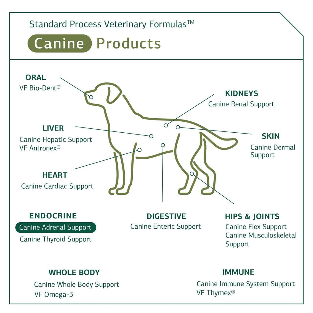 Canine Adrenal Support Pet Supplies L7143