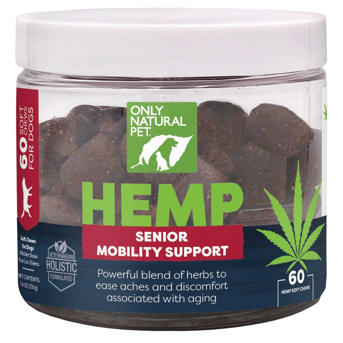 Senior Mobility Support P10924