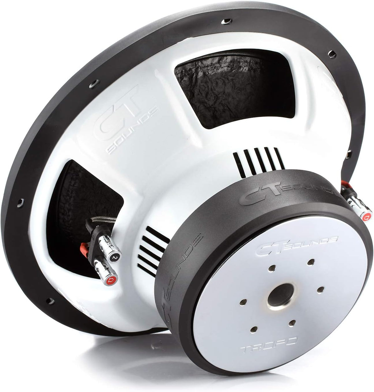 12 Inch 1300 Watts Max Dual 2 Ohm Car Subwoofer E215